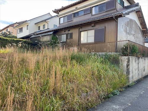 西側境界付近(2025年12月撮影)