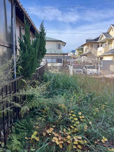 南西側境界付近(2025年12月撮影)