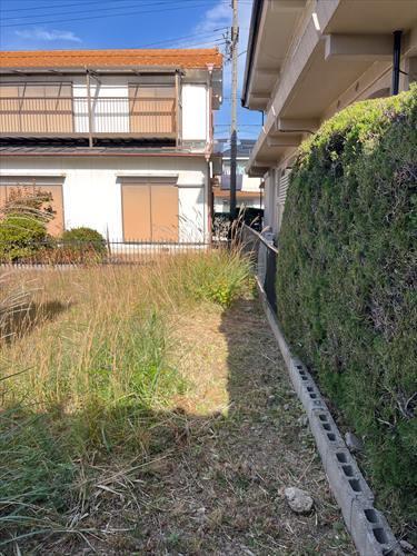 南東側境界付近(2025年12月撮影)1