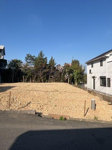 現地-1 (2025年11月撮影）