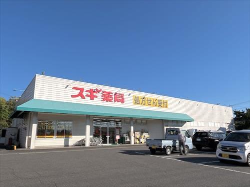 スギ薬局阿久比店まで1100m