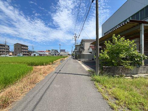 前面道路（2025年10月撮影）