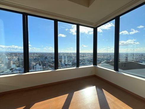 リビングからの眺望