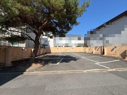 現地写真③（2026年2月撮影）