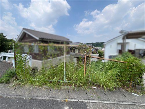 現地写真２(2026年7月撮影)
