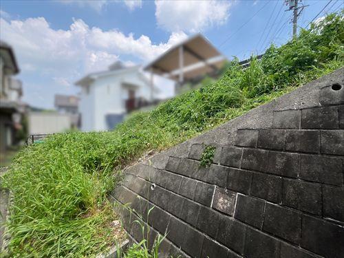 現地写真３(2026年7月撮影)