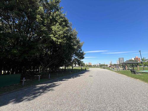 近隣環境(公園)