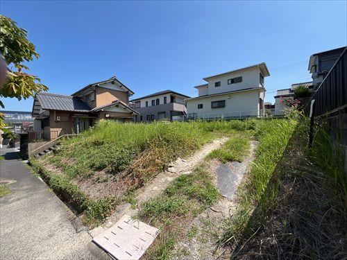 現地写真３