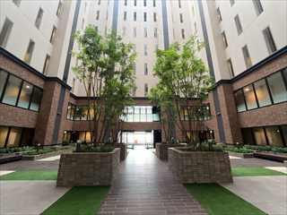 スカイガーデン