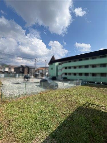 現地写真