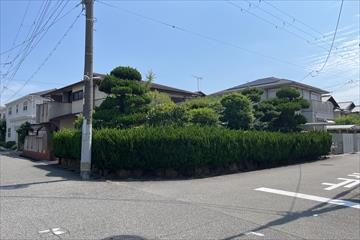 現地写真１