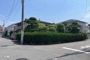 現地写真2