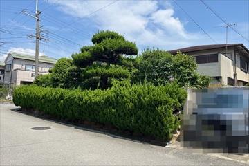 現地写真６