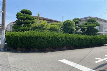 現地写真７