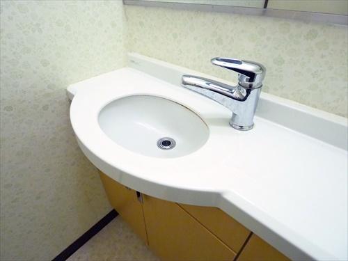 トイレ手洗いスペース