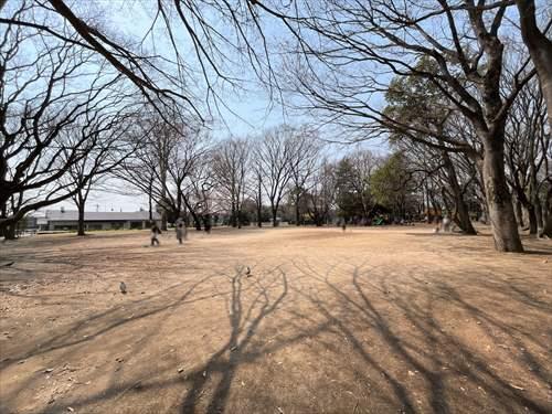 井草森公園 890ｍ