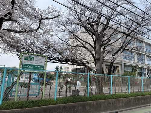 上石神井中学校　510ｍ