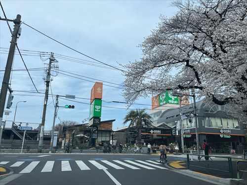 サミットストア石神井台店　540ｍ