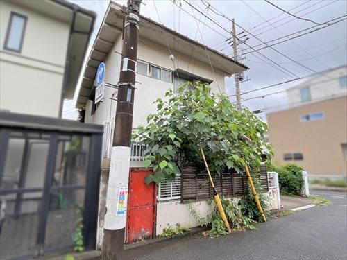 現地（2026年6月撮影）