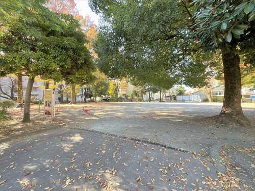 練馬区立上石神井公園 350ｍ