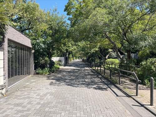 前面道路（物件：左手）