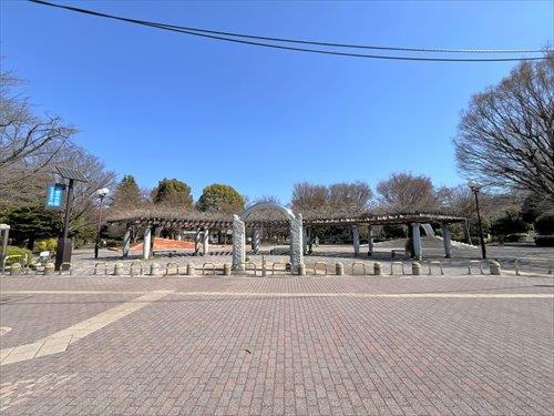 都立大泉中央公園 520ｍ