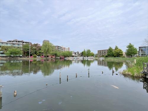 都立石神井公園 820ｍ