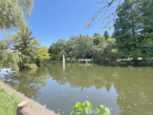 石神井公園 1000ｍ