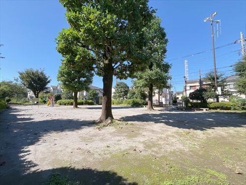 練馬区立大泉つつじ公園 20ｍ