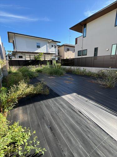 現地写真　2025年7月時点