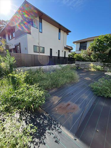 現地写真　2025年7月時点