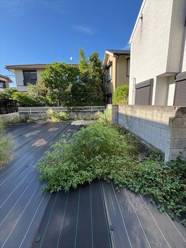 現地写真　2025年7月時点