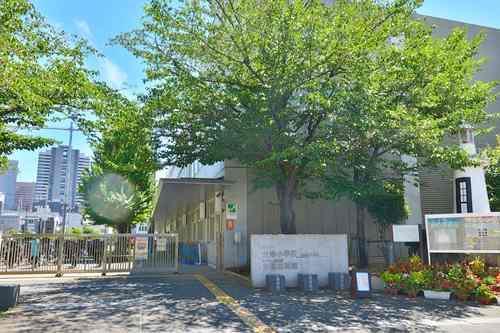 品川区立台場小学校まで590ｍ