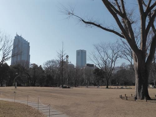 新宿中央公園 1060m
