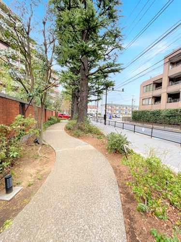 東側【現地前面道路2025年10月撮影】