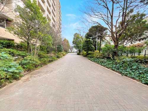 南側現地前面道路2025年10月撮影】