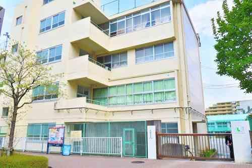 中野区立塔山小学校まで510ｍ