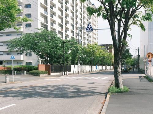 前面道路（撮影 2026.04）