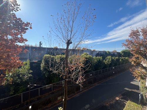 南西側バルコニーからの眺望