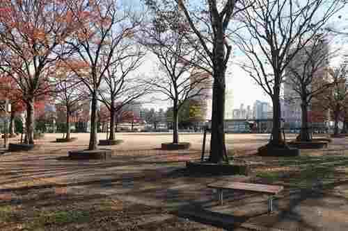 落合中央公園まで630m