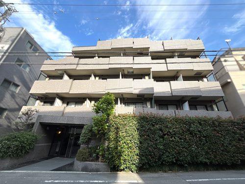 【現地写真2025年11月撮影】