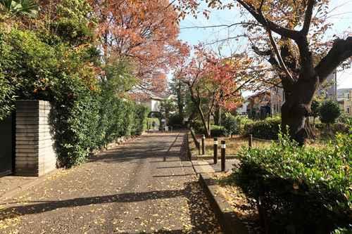 玉川上水緑道まで300m