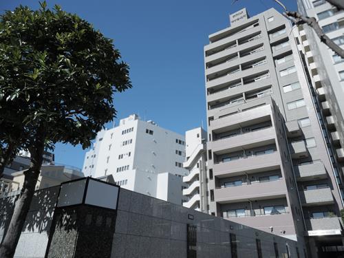 現地（2026年1月 撮影）