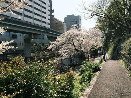 江戸川公園 470m