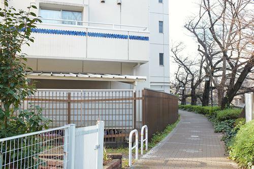 前面道路（2025年12月 撮影）