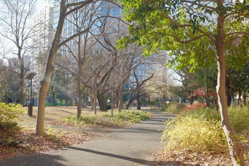 戸山公園（大久保地区） 400m
