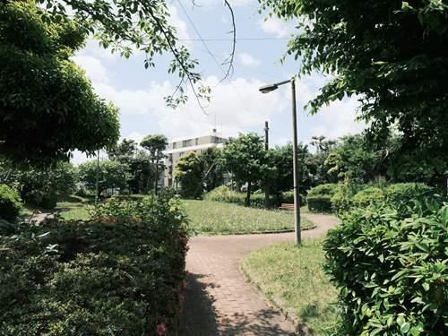 木の公園 950m