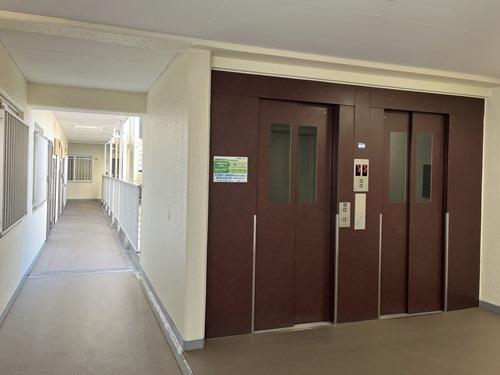 共用廊下/エレベーター