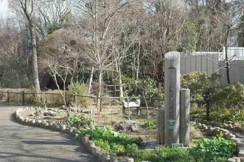 旭町はんの木緑地 690m