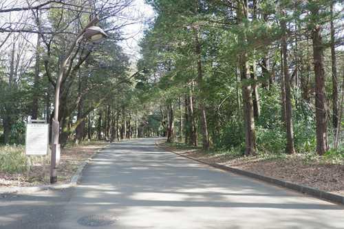 光が丘公園 1300ｍ